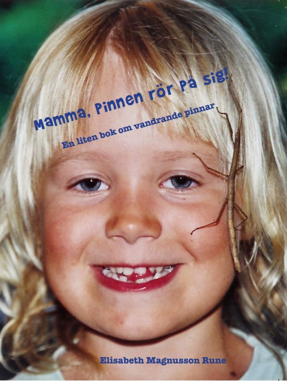 Mamma, pinnen rör på sig! En liten bok om vandrande pinnar