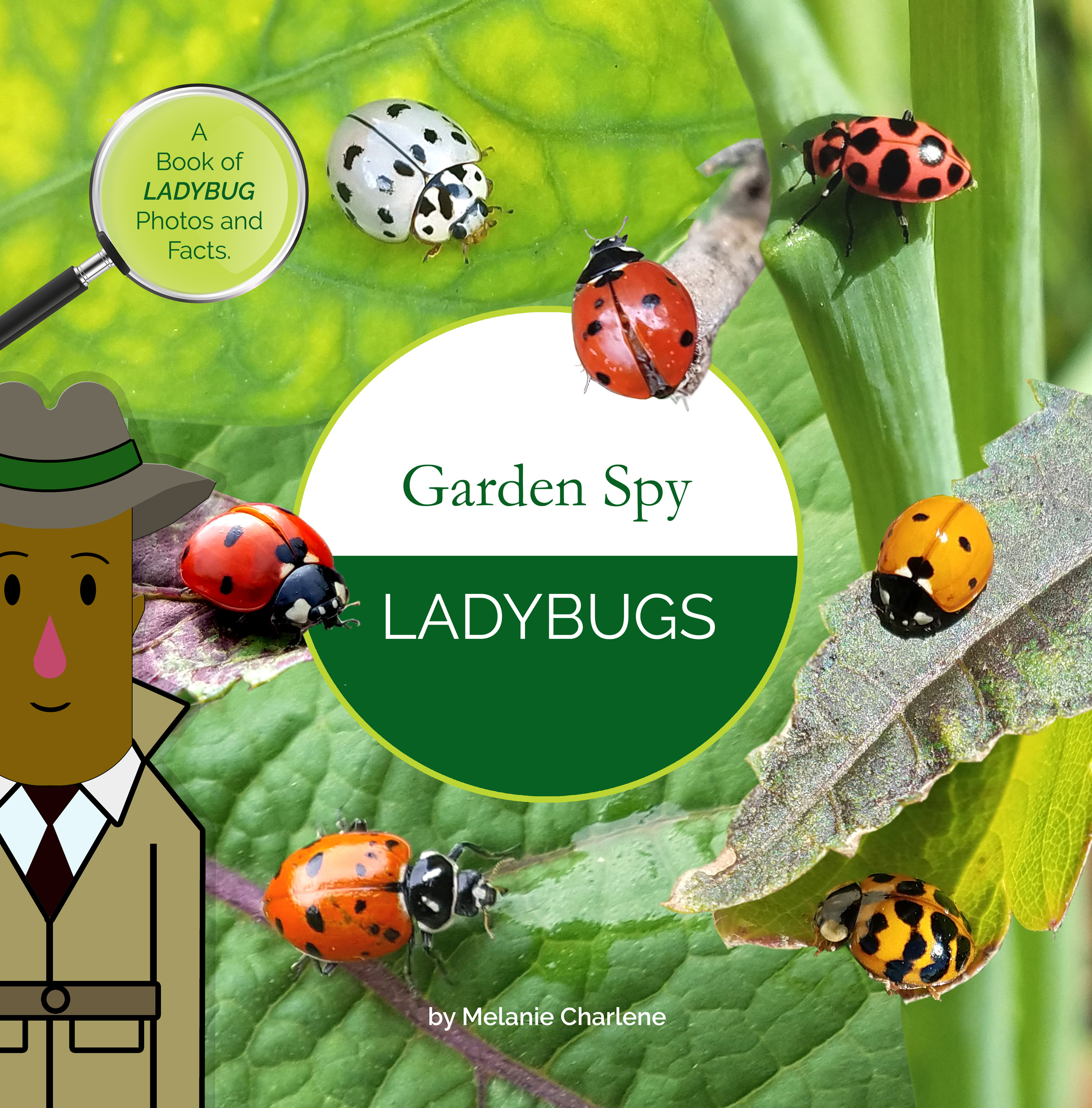 Garden Spy Ladybugs