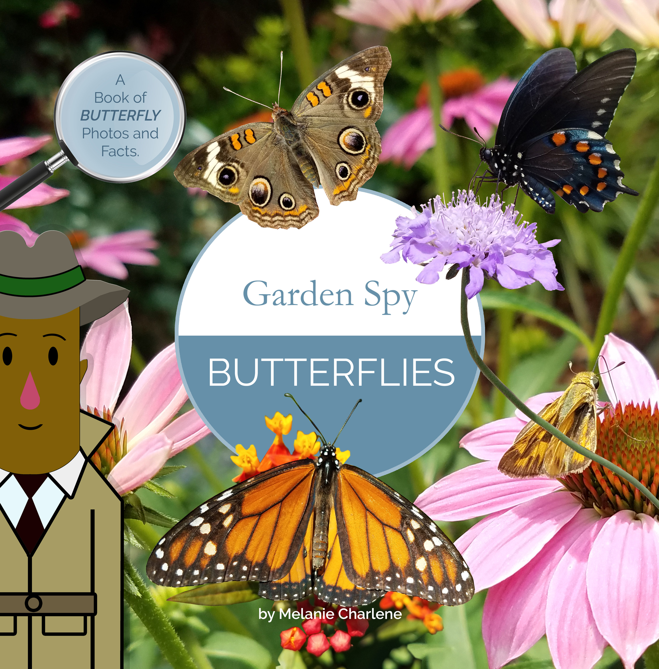 Garden Spy Butterflies