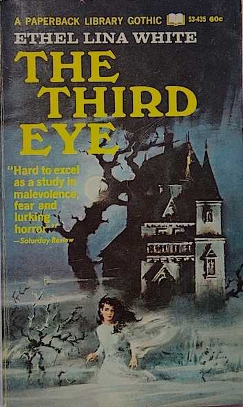 The Third Eye (Paperback)