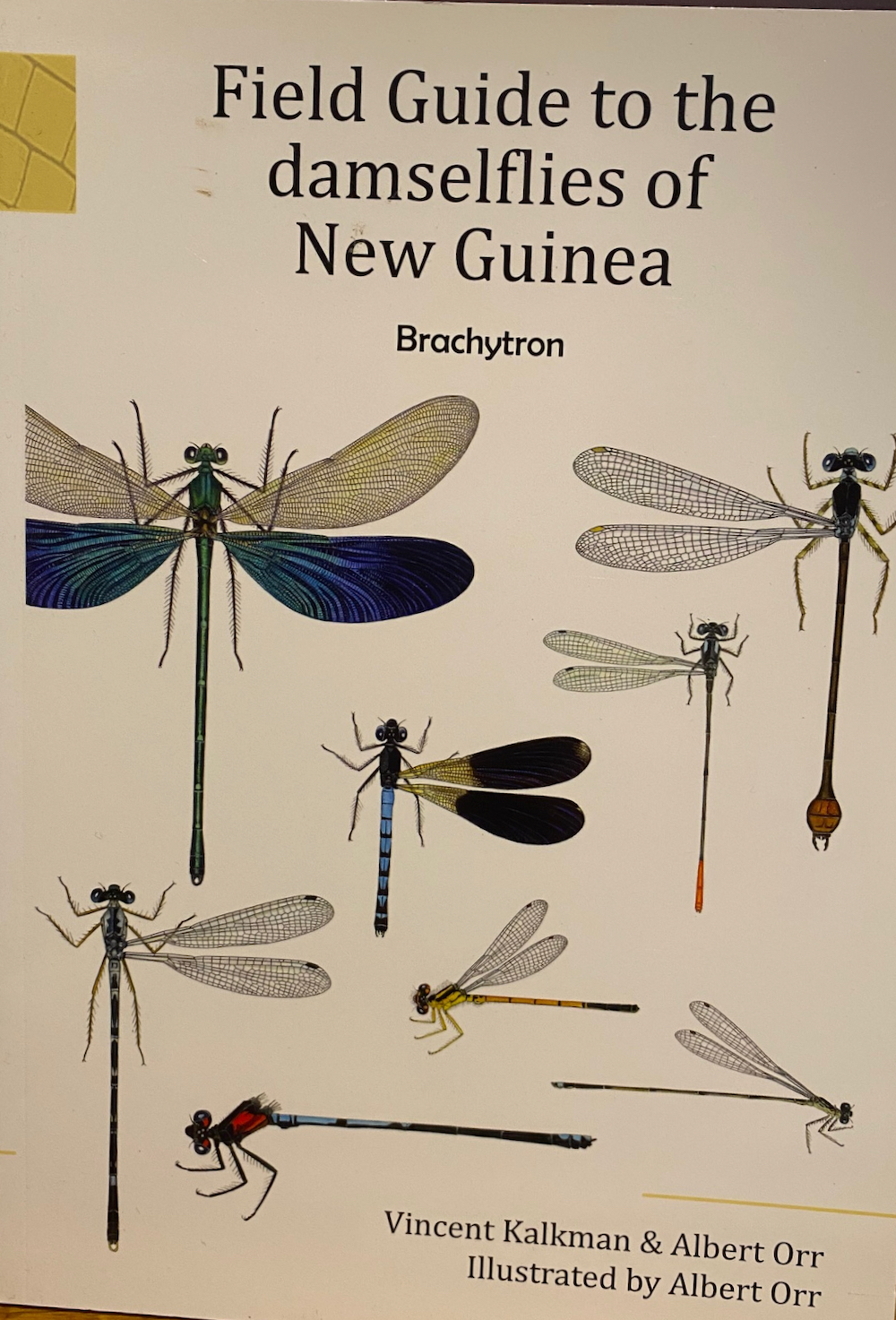 Field guide to the damselflies of New Guinea