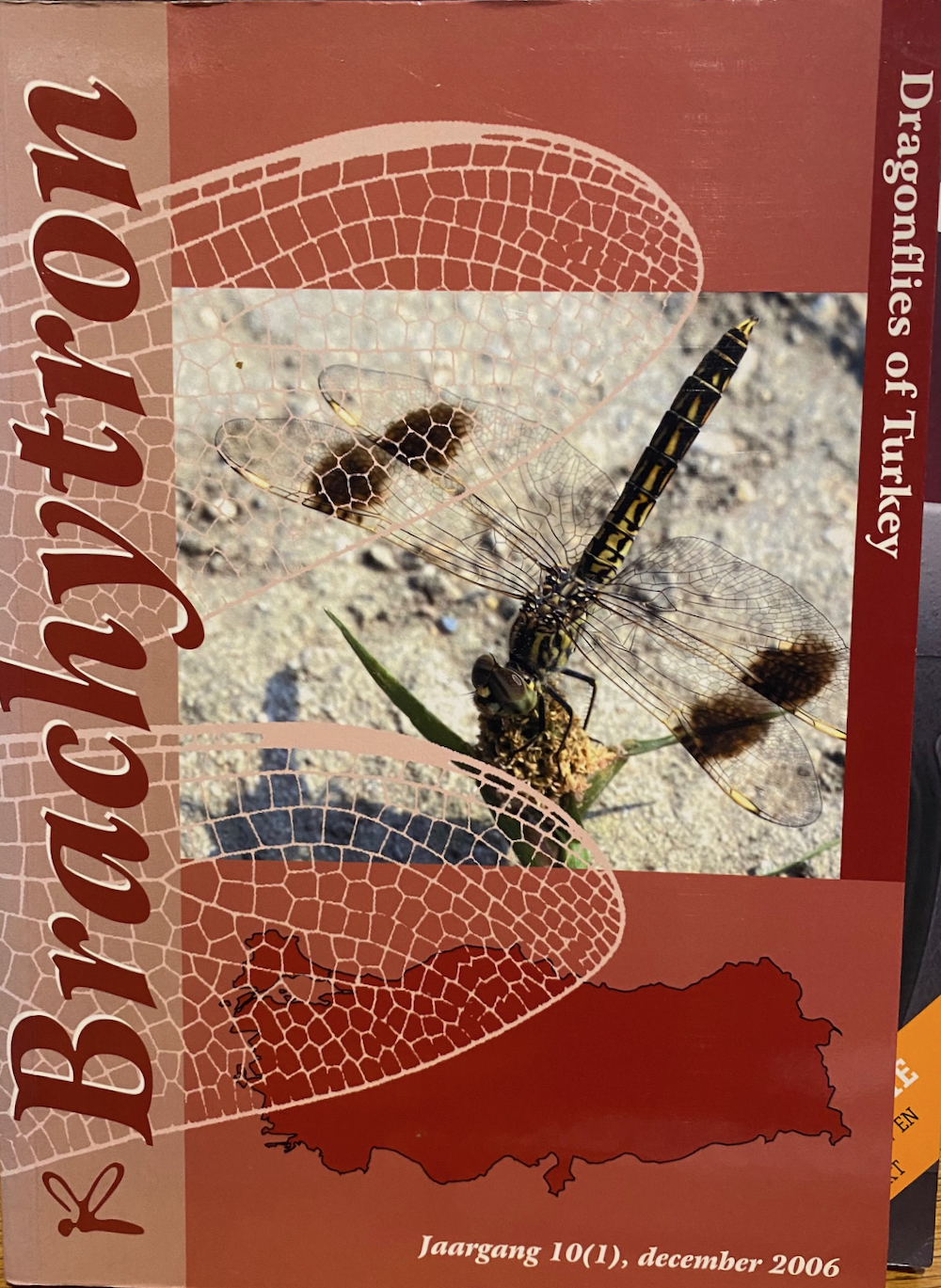 Dragonflies of Turkey