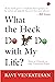 What The Heck Do I Do With My Life? How To Flourish In Our Tu... by Ravi Venkatesan