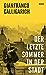 Der letzte Sommer in der Stadt