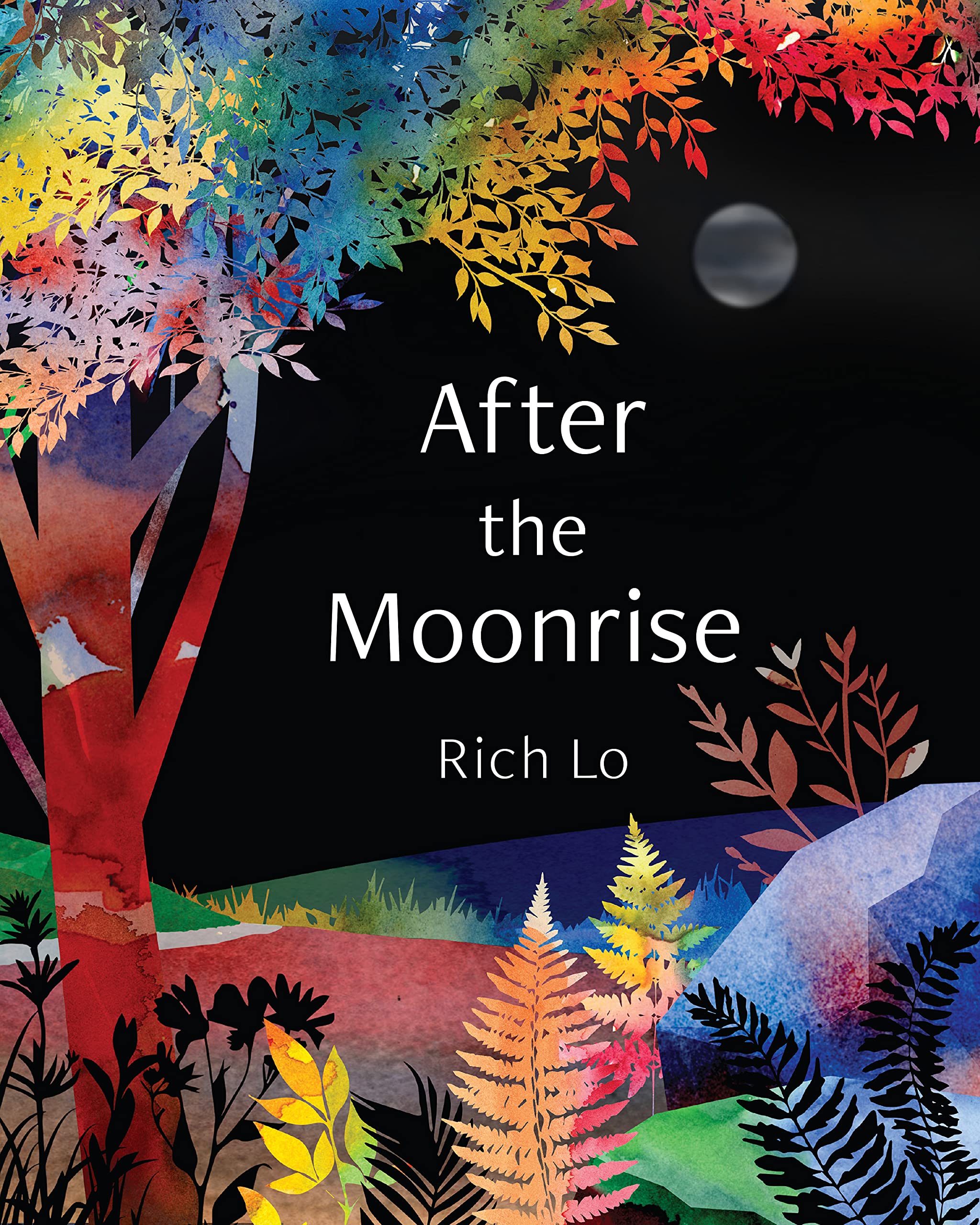 After the Moonrise (Hardcover)