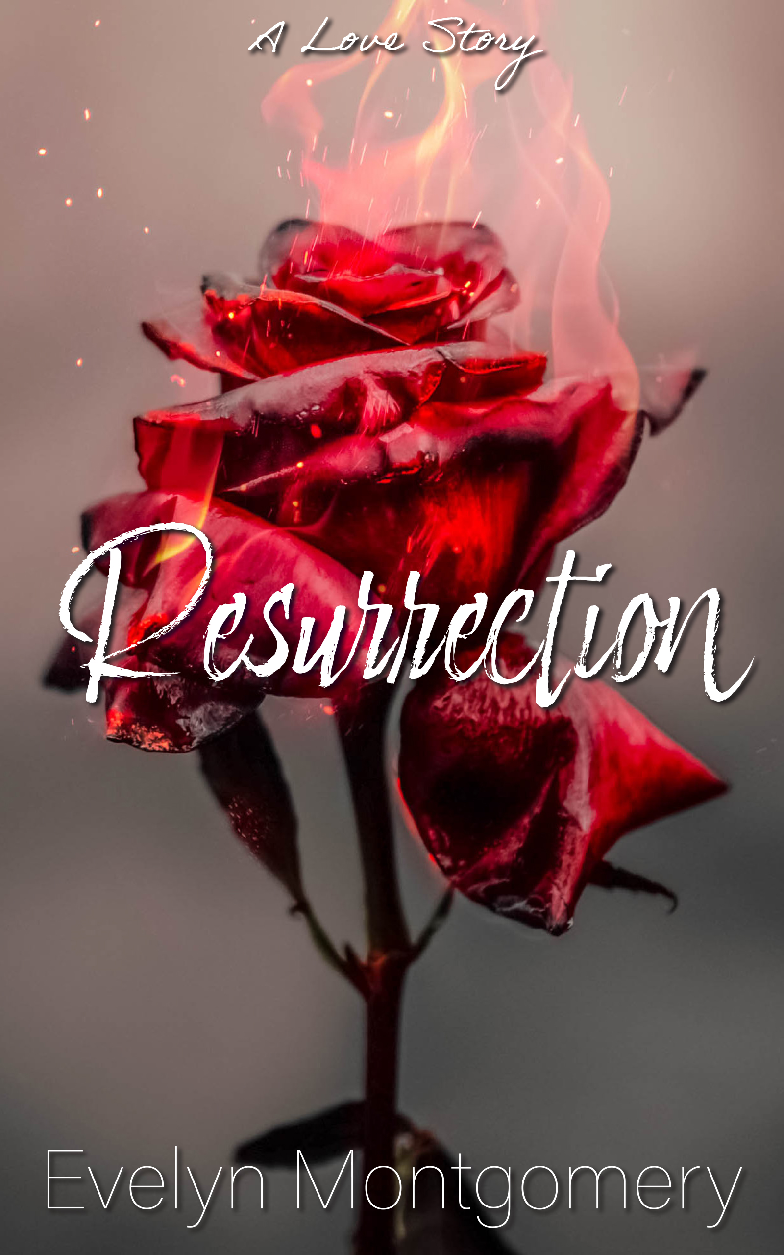 Resurrection (Paperback)