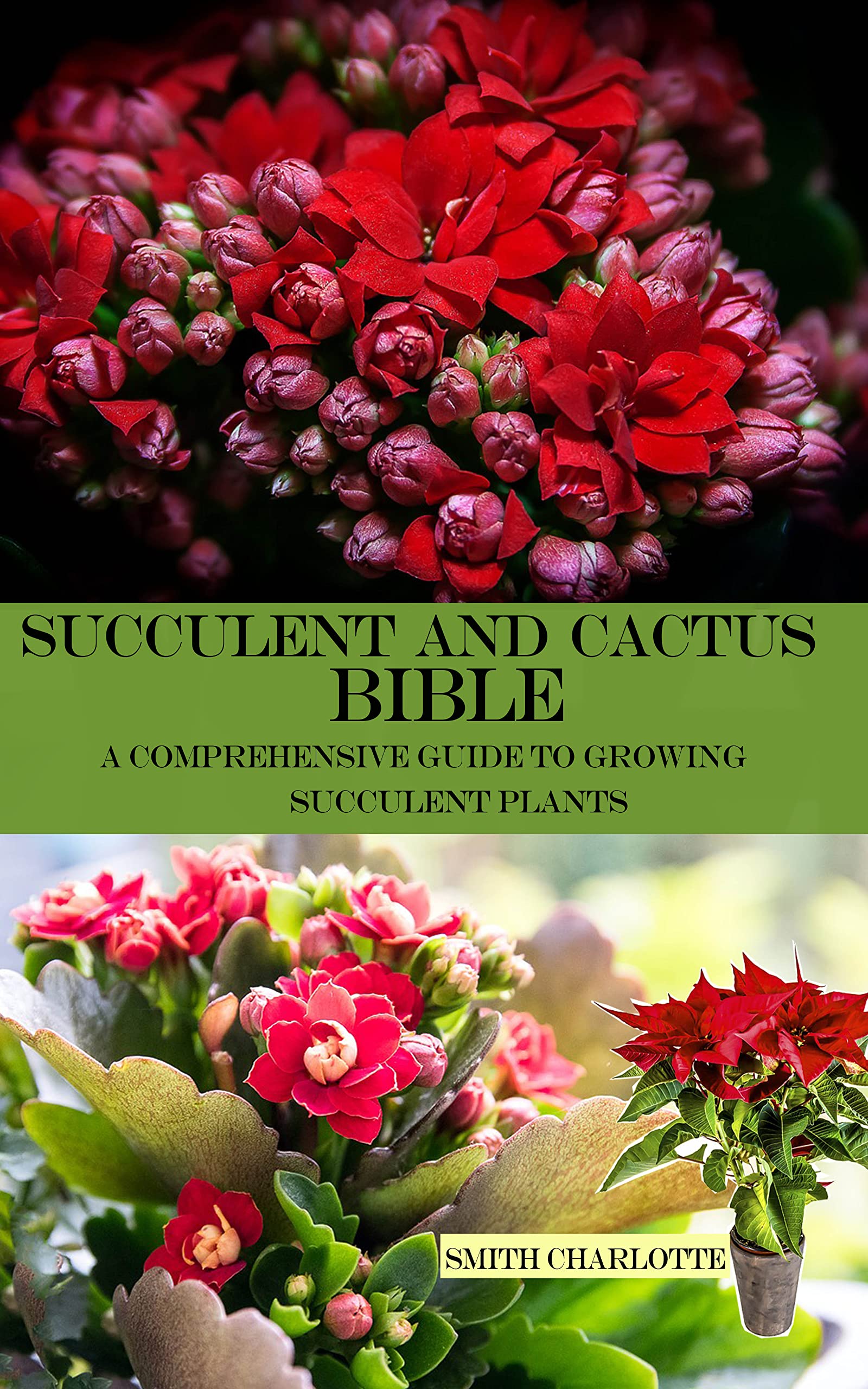 SUCCULENT AND CACTUS BIBLE: A COMPREHENSIVE GUIDE TO GROWING SUCCULENT PLANTS (Kindle Edition)
