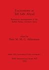 Excavations at Tell Sabi Abyad: Prehistoric investigations in the Balikh Valley, northern Syria (BAR International)