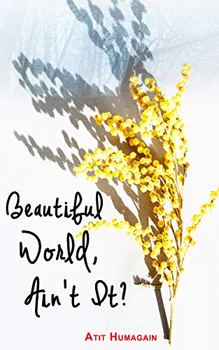 Beautiful World, Ain't it?