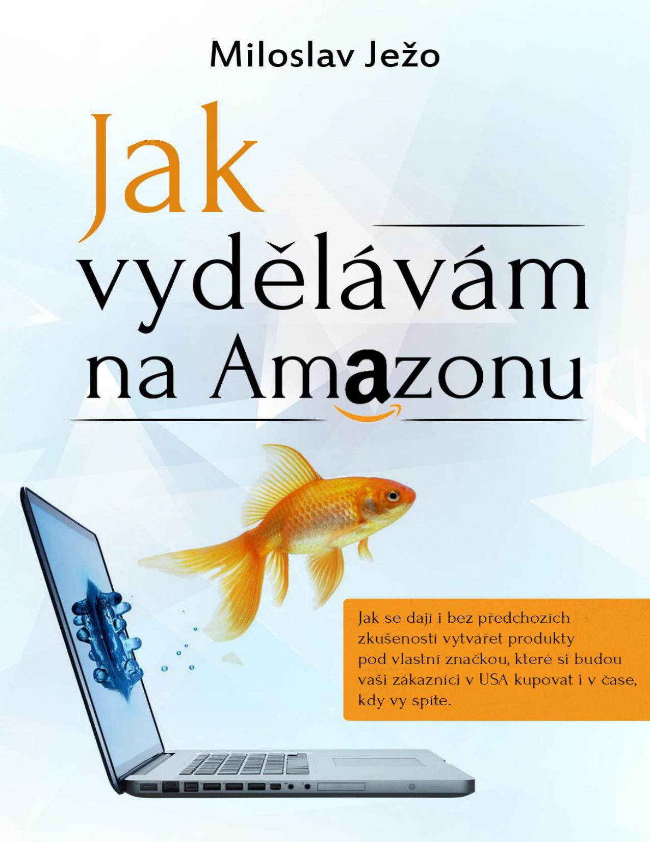 Jak vydělávám na Amazonu