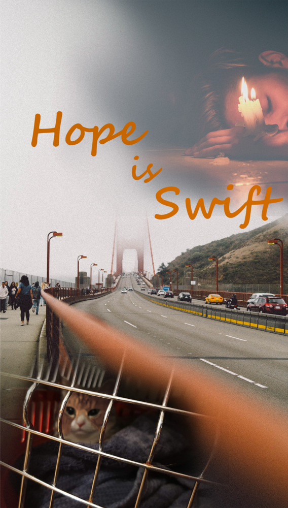 Hope Is Swift (ebook)