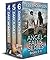 Angel Falls Series Boxed Se...
