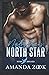 Natalie's Nighthawk: Nighthawk Search and Rescue Book 1