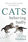 Cats Behaving Bad...