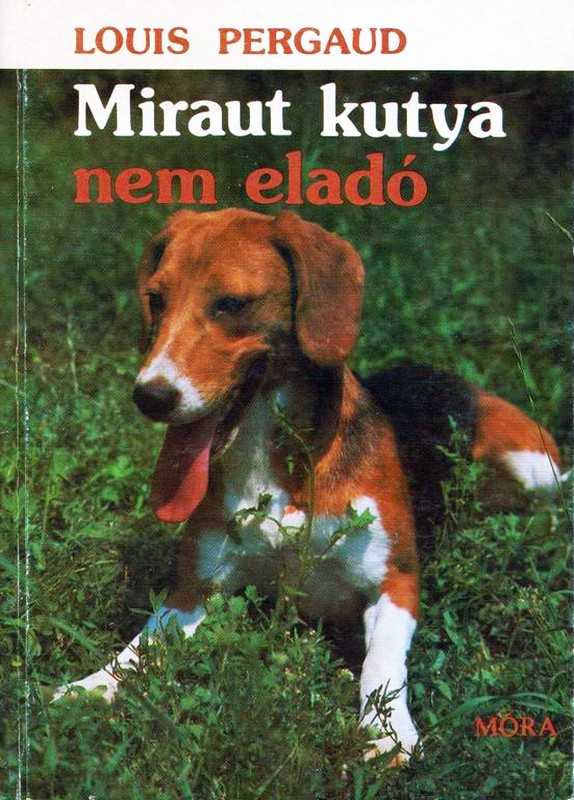 Miraut kutya nem eladó
