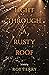 Light Through a Rusty Roof by Roy Terry