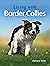 Living with Border Collies by Barbara Sykes