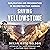 Saving Yellowstone: Explora...