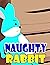Naughty rabbit: We should o...