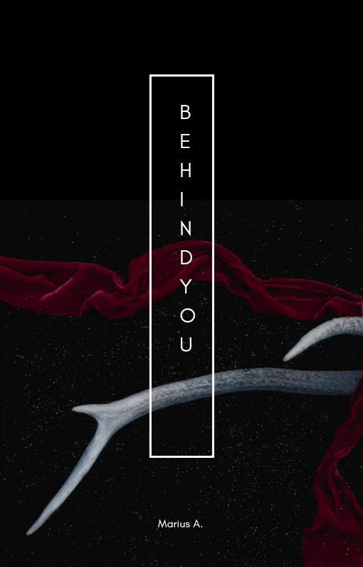 Behind You(poem volume)
