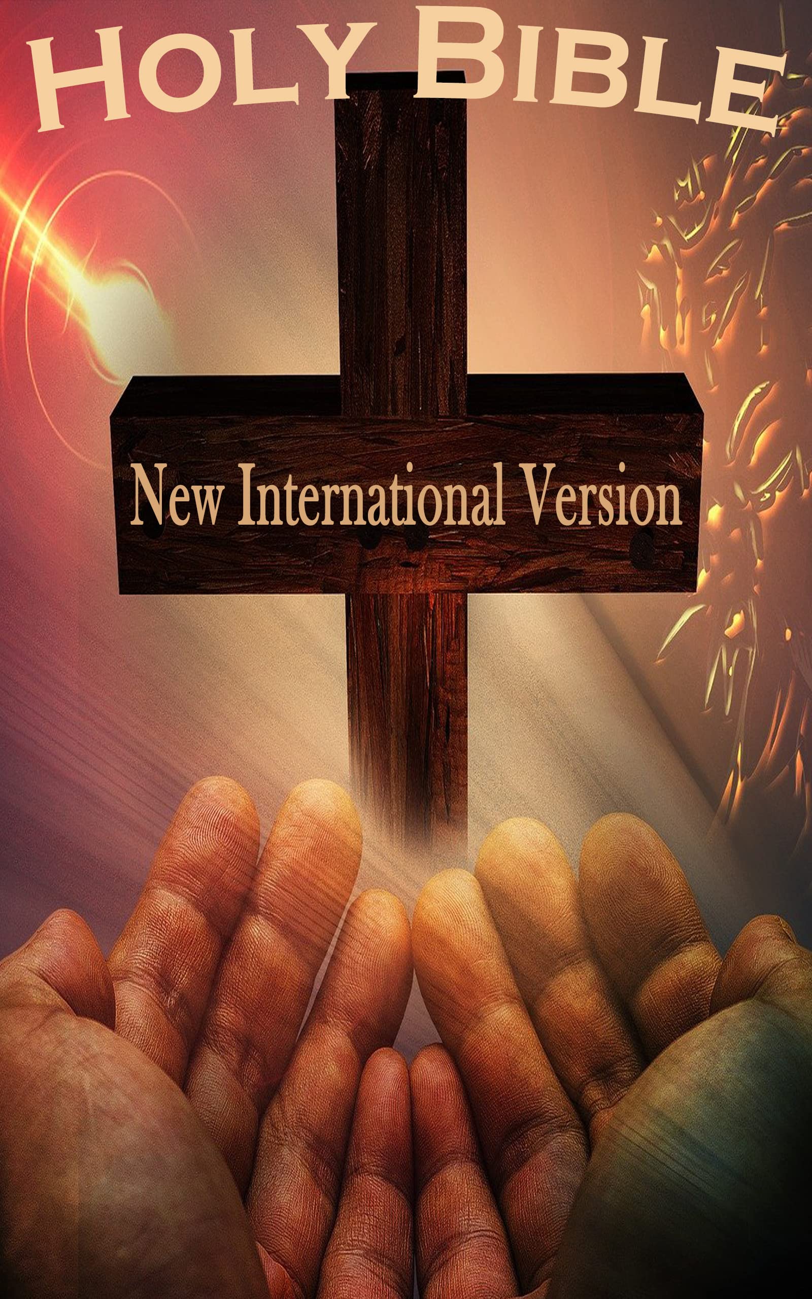 NIV Holy Bible, New International Version