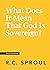What Does It Mean That God Is Sovereign? by R.C. Sproul