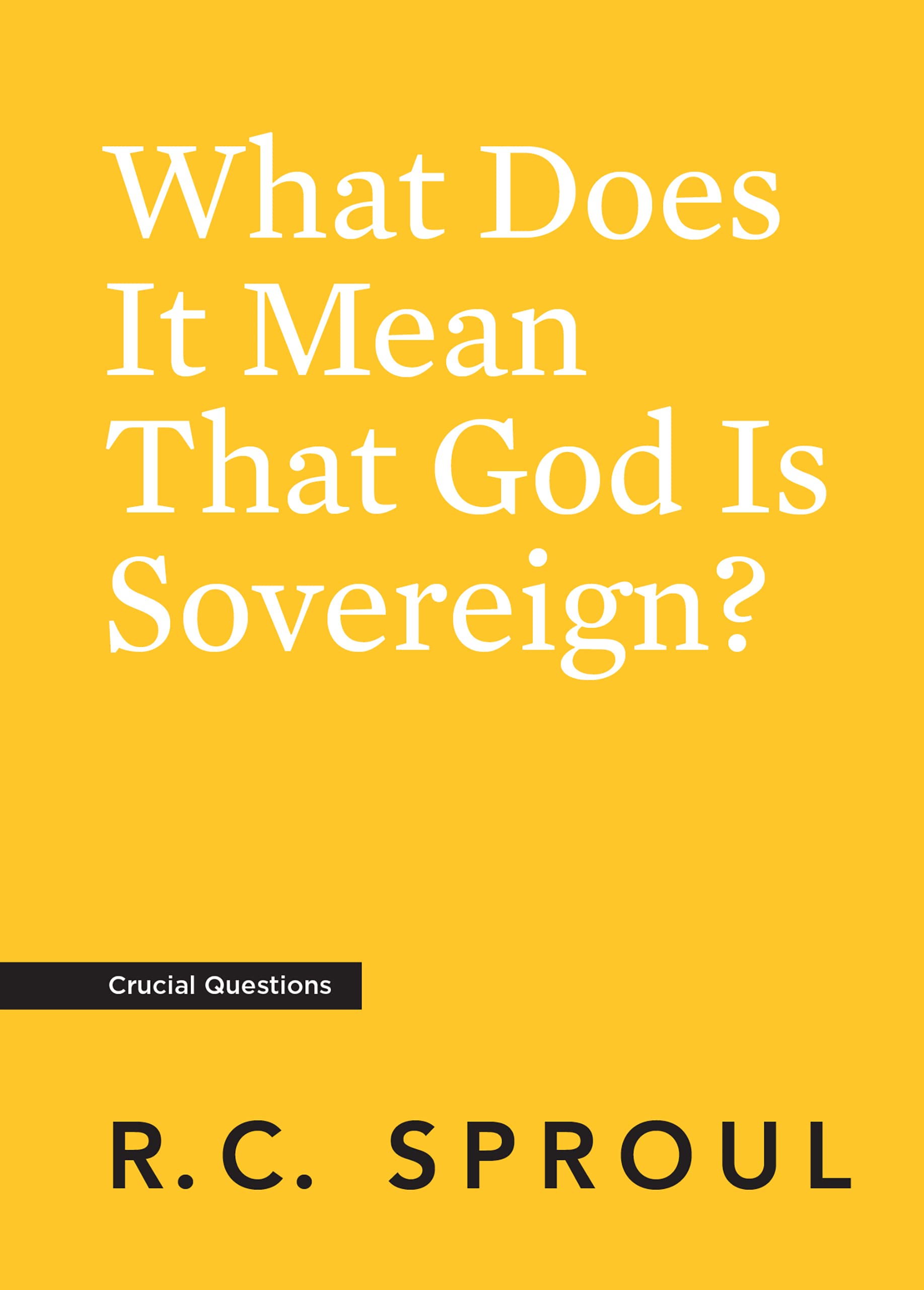 What Does It Mean That God Is Sovereign? (Kindle Edition)