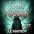 Dark Visions of Torment (DCI Will Blake #8)