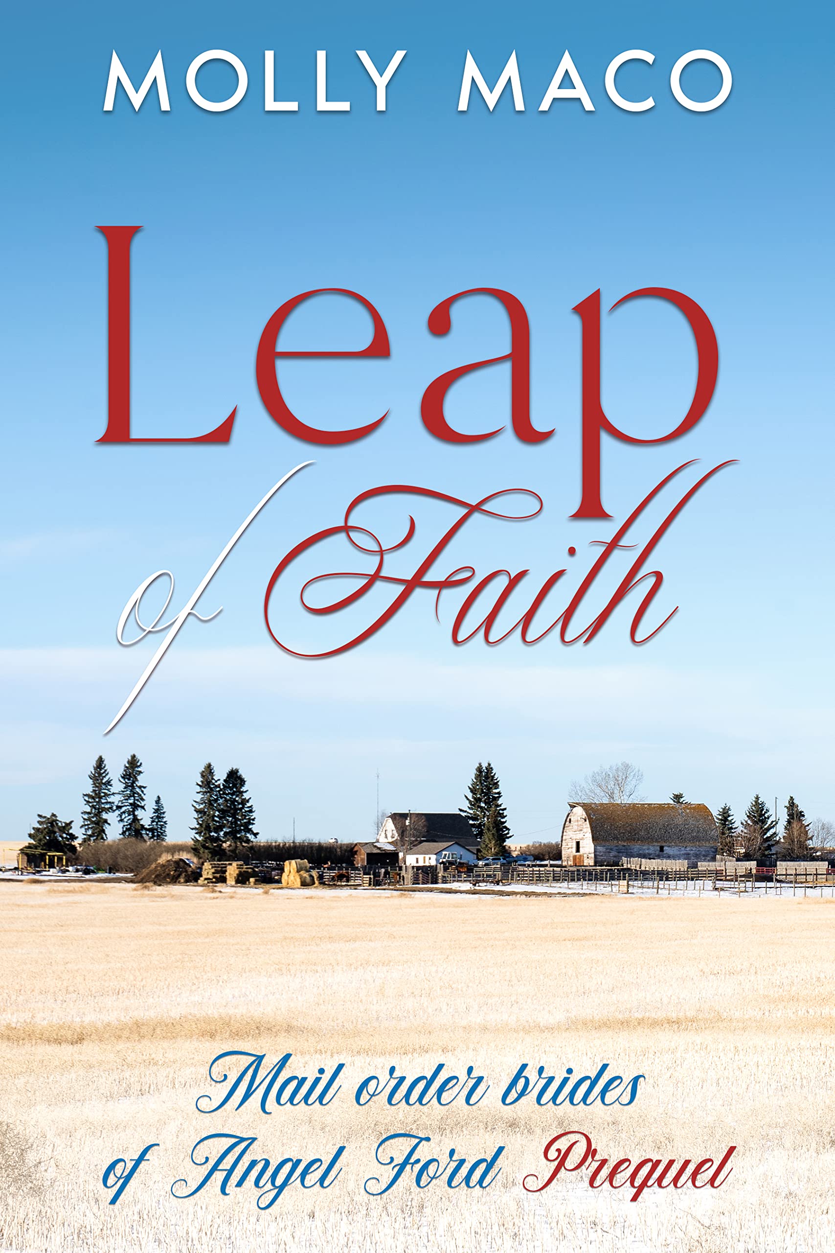 Leap of Faith (Mail Order Brides Of Angel Ford, #0)