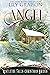 Angel (Mistletoe Falls Christmas Brides, #2)