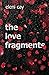 The Love Fragments