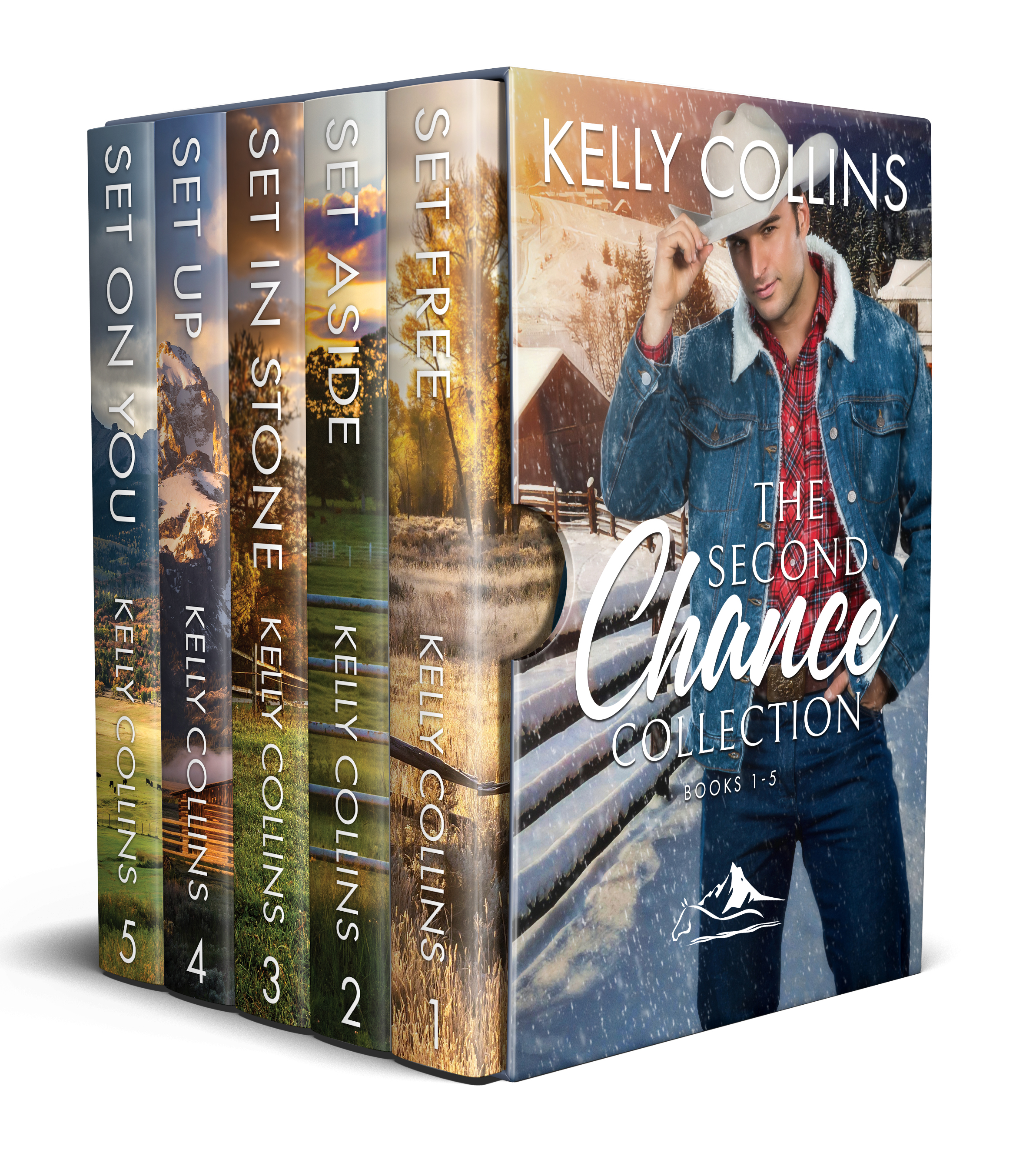 The Second Chance Series (Second Chance #1-5)