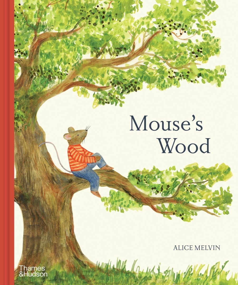 Mouse's Wood: A Year in Nature (Mouse’s Adventures)