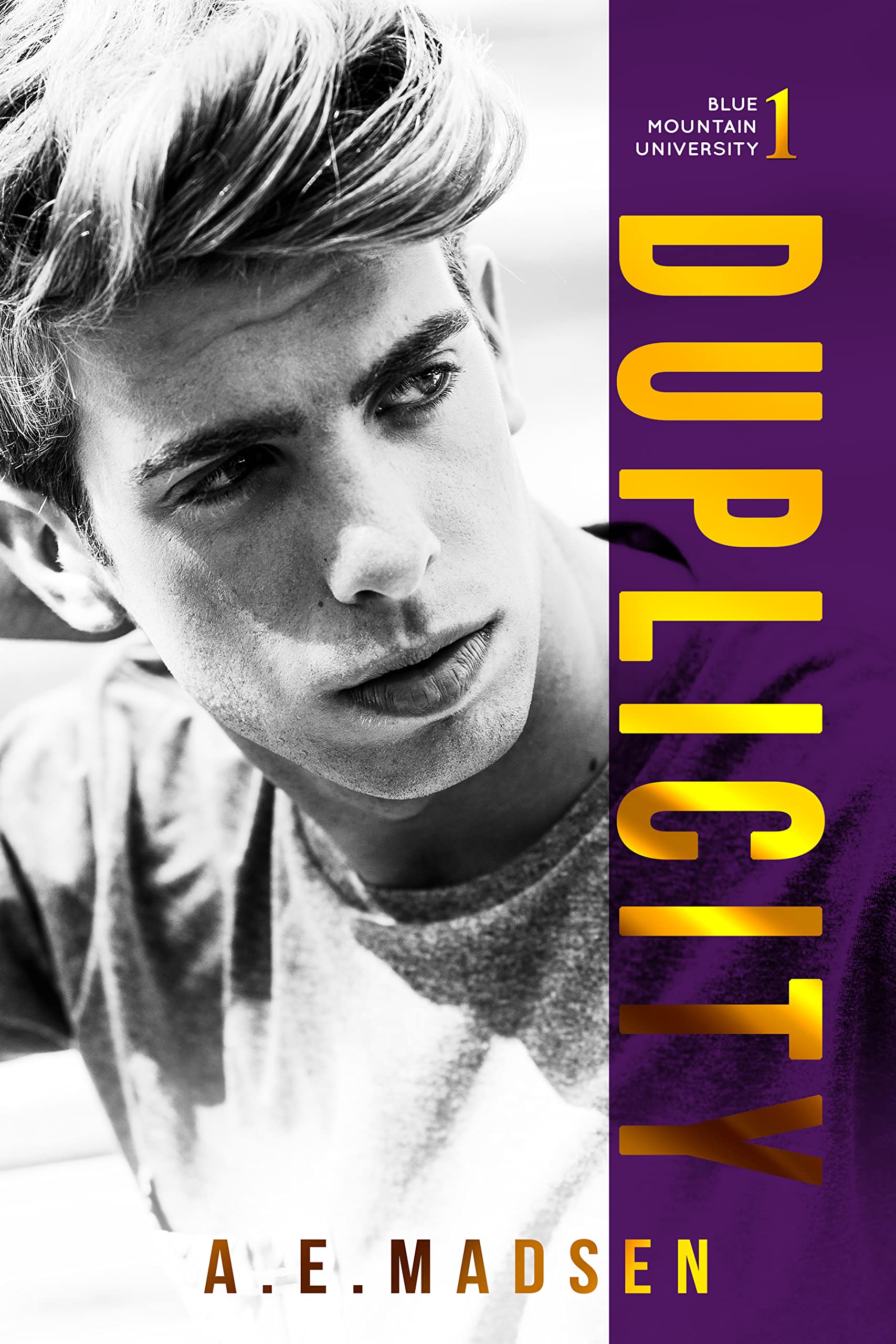 Duplicity (Blue Mountain University, #1)