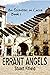 Errant Angels (An Eccentric in Lucca Book 1)