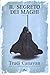 Il segreto dei maghi by Trudi Canavan