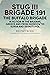 StuG III Brigade 191, 1940–1945: The Buffalo Brigade in Action in the Balkans, Greece and from Moscow to Kursk and Sevastopol