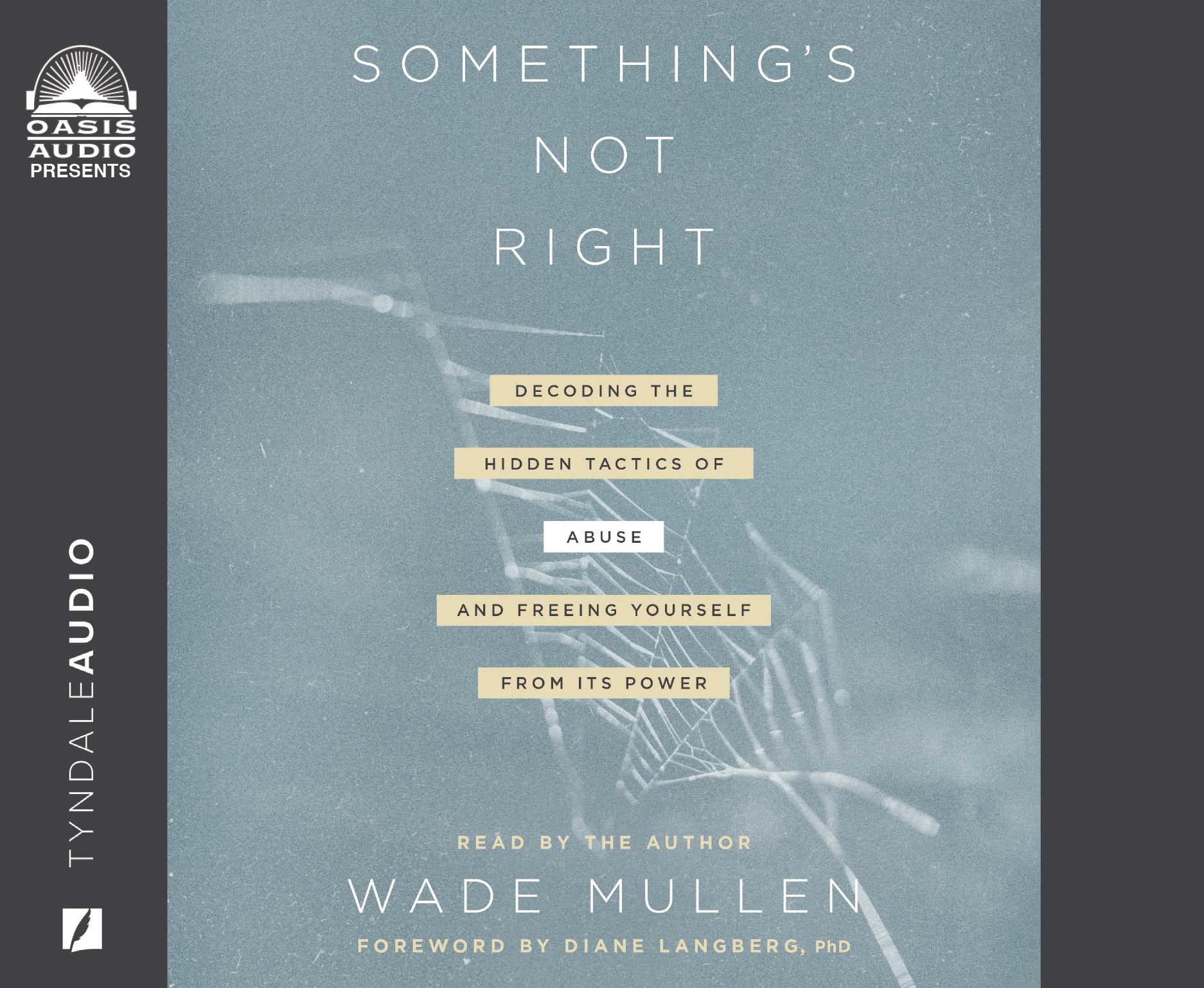 Something's Not Right: Decoding the Hidden Tactics of Abuse - And Freeing Yourself From Its Power