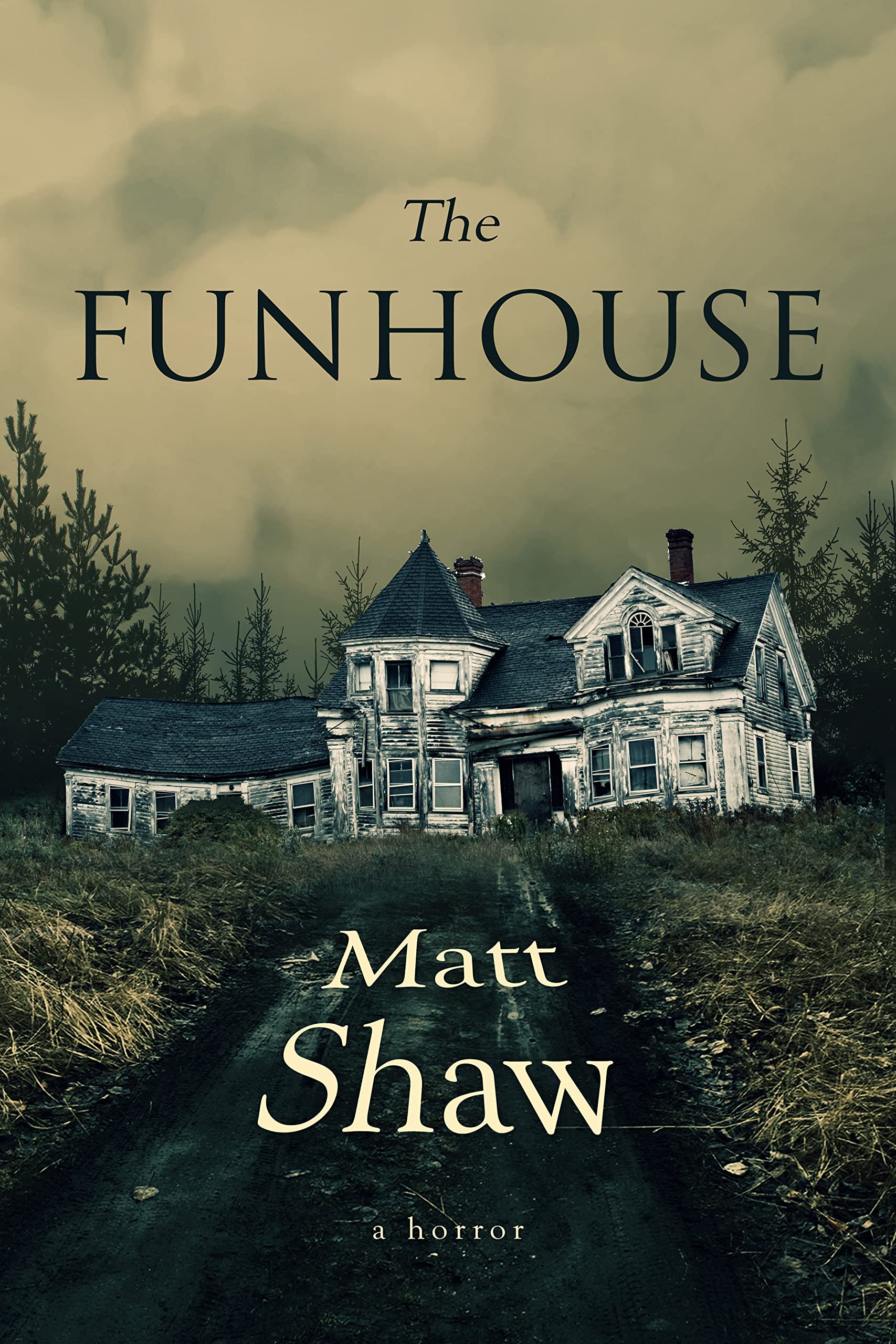 The Funhouse (Kindle Edition)