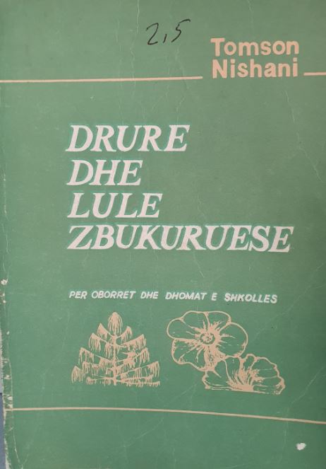 Drurë dhe lule zbukuruese: për oborret dhe dhomat e shkollës
