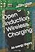 Open Induction Wireless Cha...
