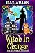 Witch in Charge (Blair Wilkes Mystery #13)