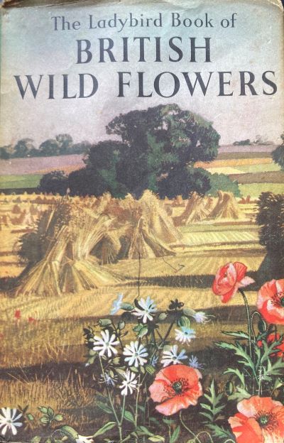 The Ladybird Book of British Wild Flowers