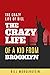 The Crazy Life of a Kid From Brooklyn by Bill Morgenstein