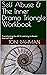 Self Abuse & The Inner Drama Triangle Workbook by Toni Rahman
