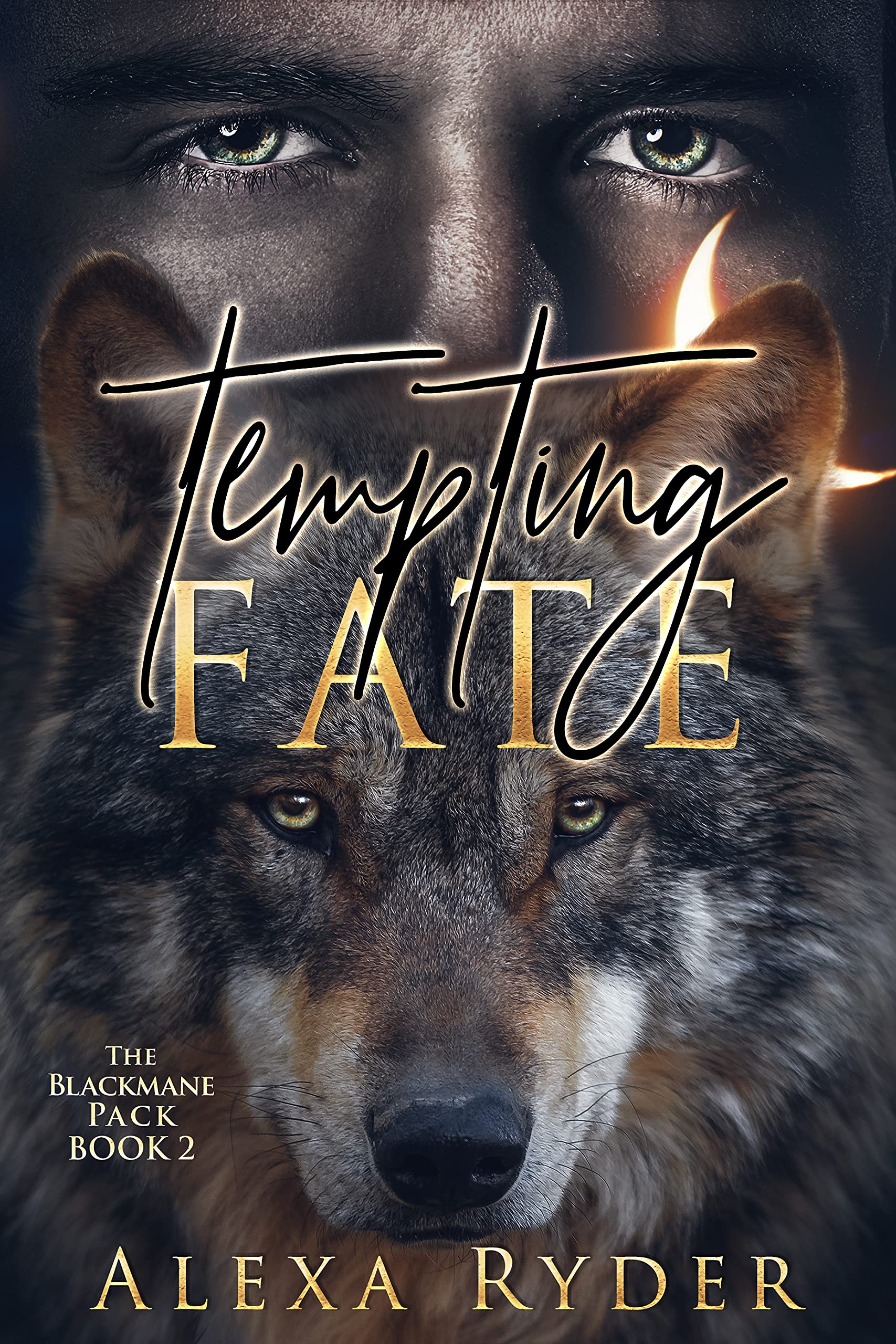 Tempting Fate (The Blackmane Pack, #2)