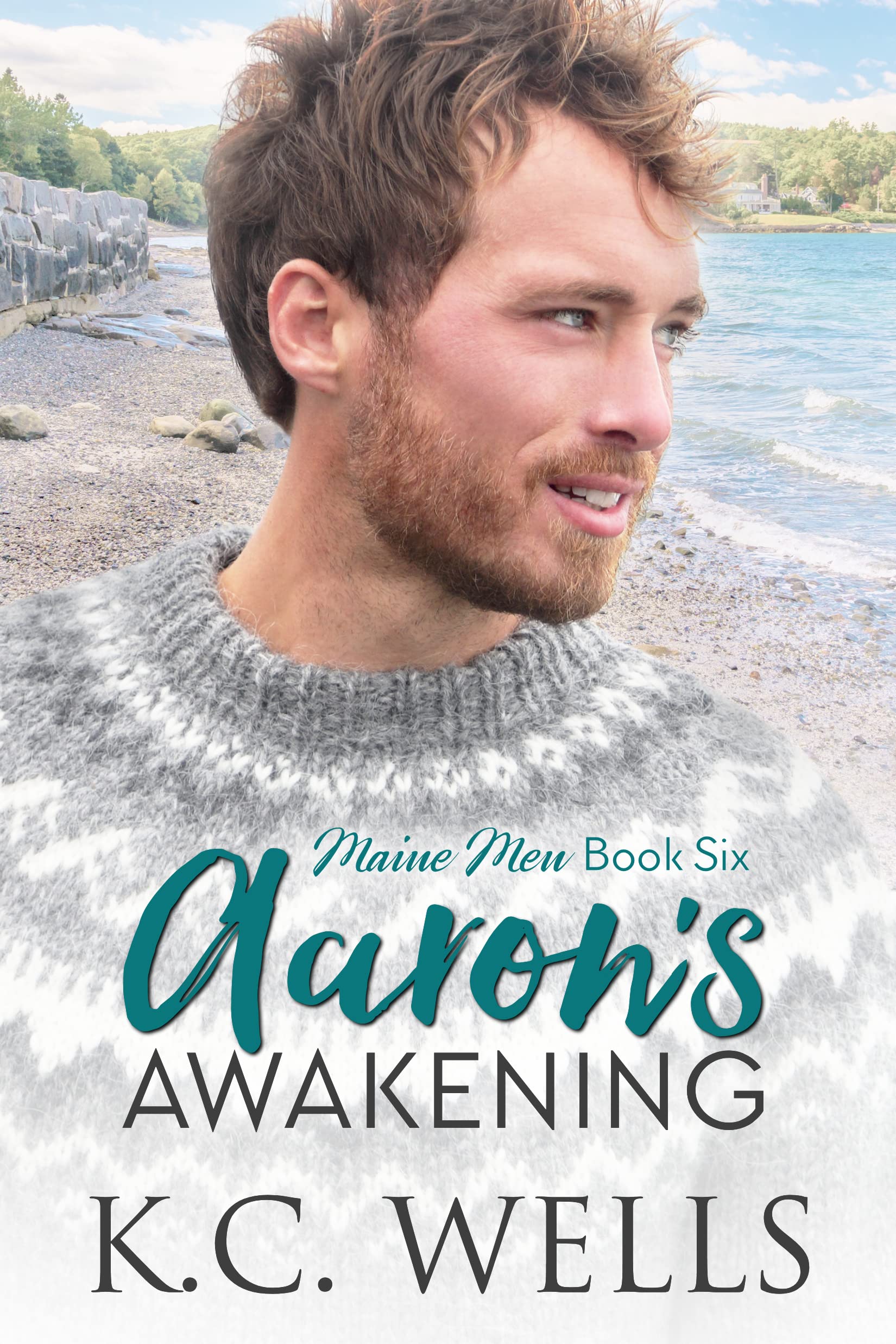 Aaron's Awakening (Maine Men, #6)