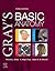 Gray's Basic Anatomy - E-Book