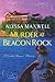 Murder at Beacon Rock (Gilded Newport Mysteries #10)