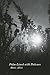 Palm-Lined with Potience by Basie Allen